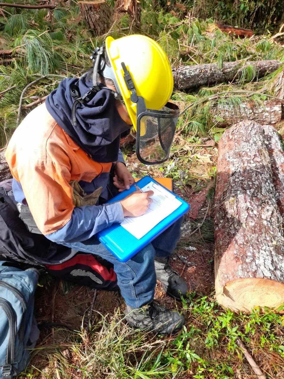 Operación forestal responsable